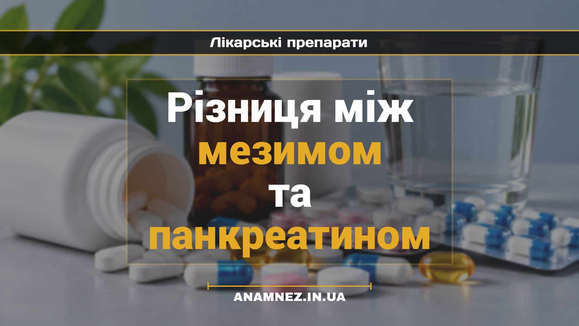 Різниця між мезимом та панкреатином (1)